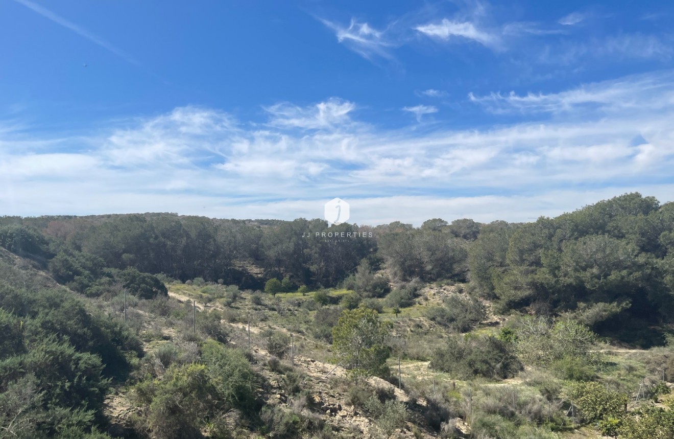 Resale - Villa -
Guardamar del Segura - Costa Blanca