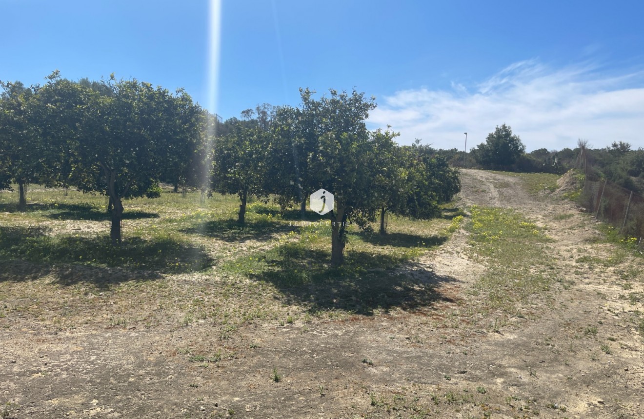 Resale - Villa -
Guardamar del Segura - Costa Blanca