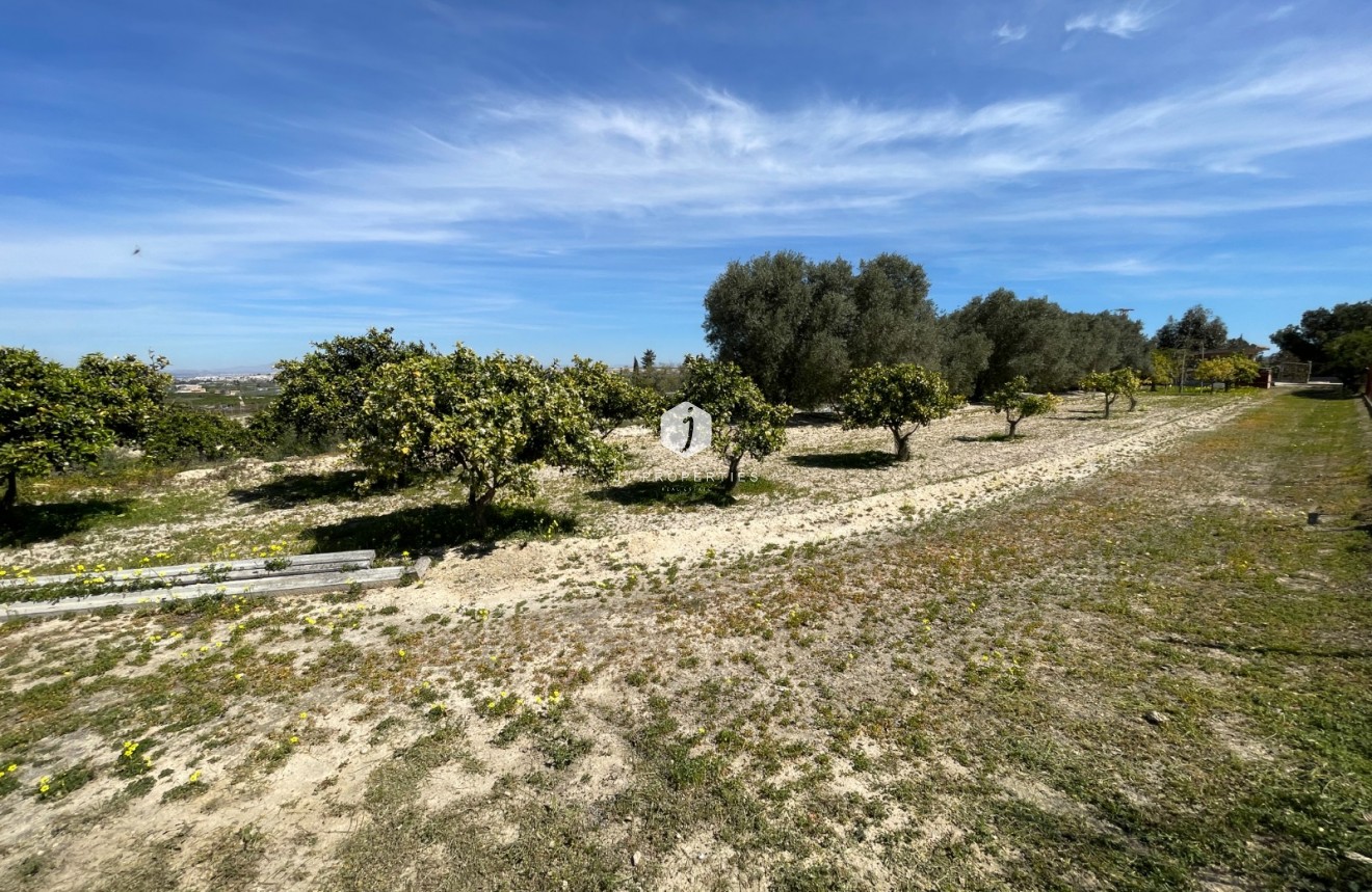 Resale - Villa -
Guardamar del Segura - Costa Blanca