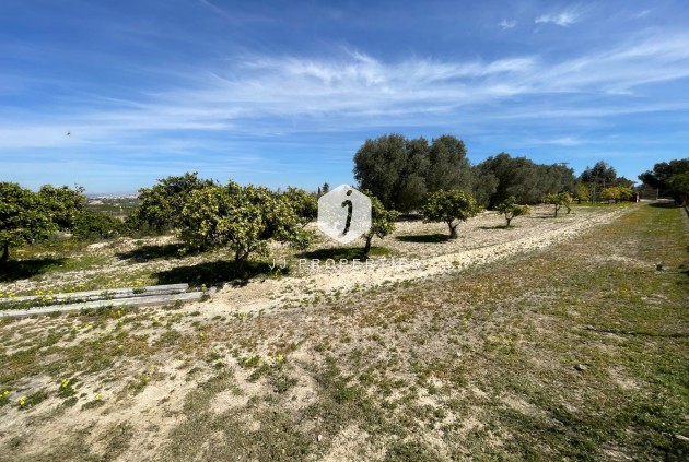 Resale - Villa -
Guardamar del Segura - Costa Blanca