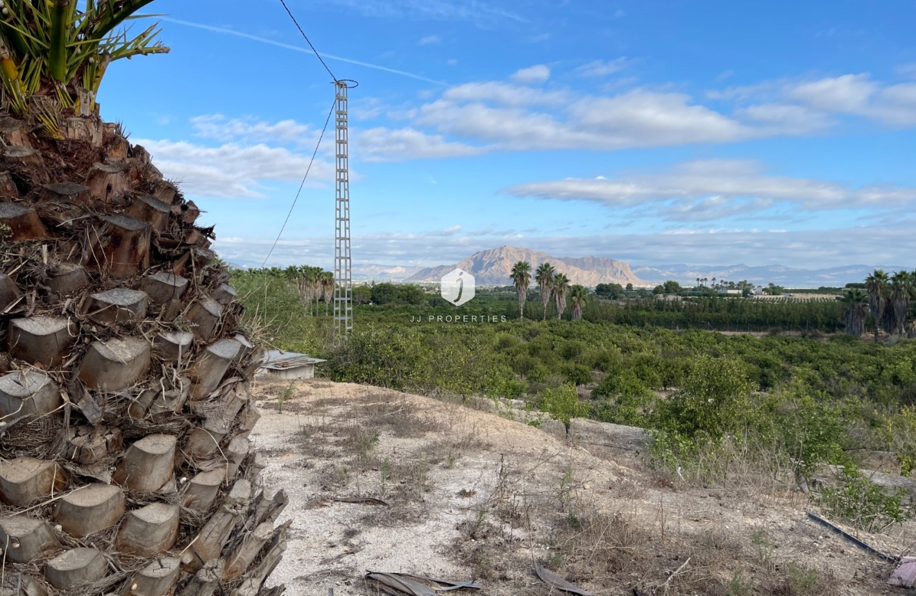 Z drugiej ręki - Nieruchomości wiejskie -
Jacarilla - Inland