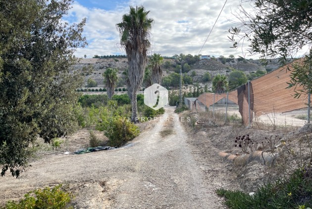 Z drugiej ręki - Nieruchomości wiejskie -
Jacarilla - Inland