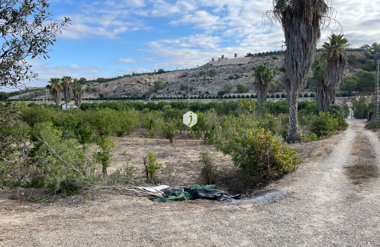 Z drugiej ręki - Nieruchomości wiejskie -
Jacarilla - Inland