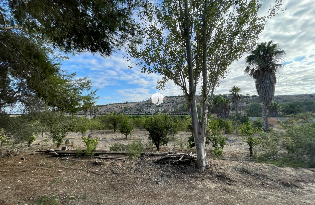 Z drugiej ręki - Nieruchomości wiejskie -
Jacarilla - Inland