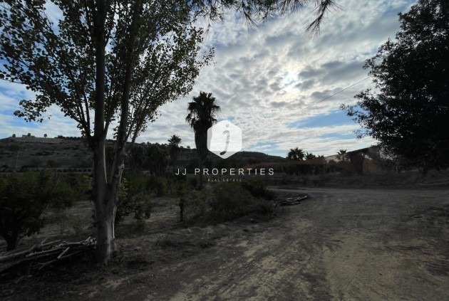 Z drugiej ręki - Nieruchomości wiejskie -
Jacarilla - Inland