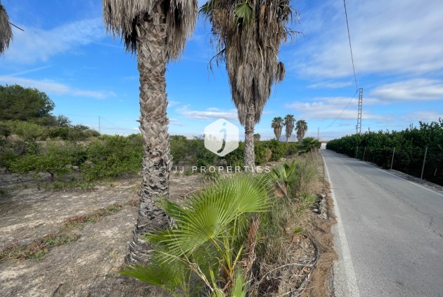 Z drugiej ręki - Nieruchomości wiejskie -
Jacarilla - Inland