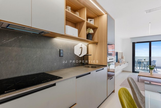 New Build - Penthouse -
Guardamar del Segura - El Raso