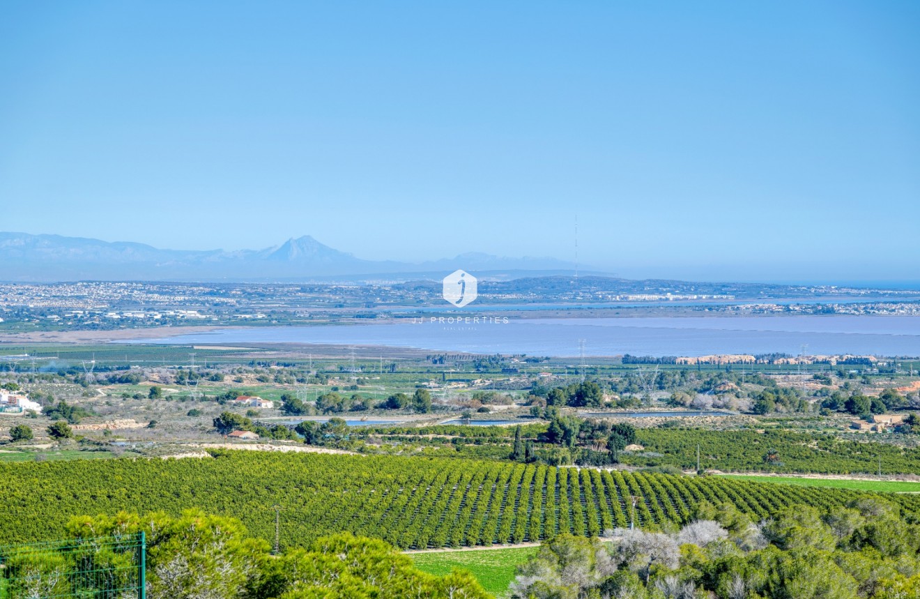 Resale - Villa -
San Miguel de Salinas - Inland