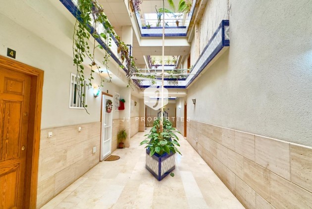 Aus zweiter Hand - Penthouse -
Torrevieja - Centro