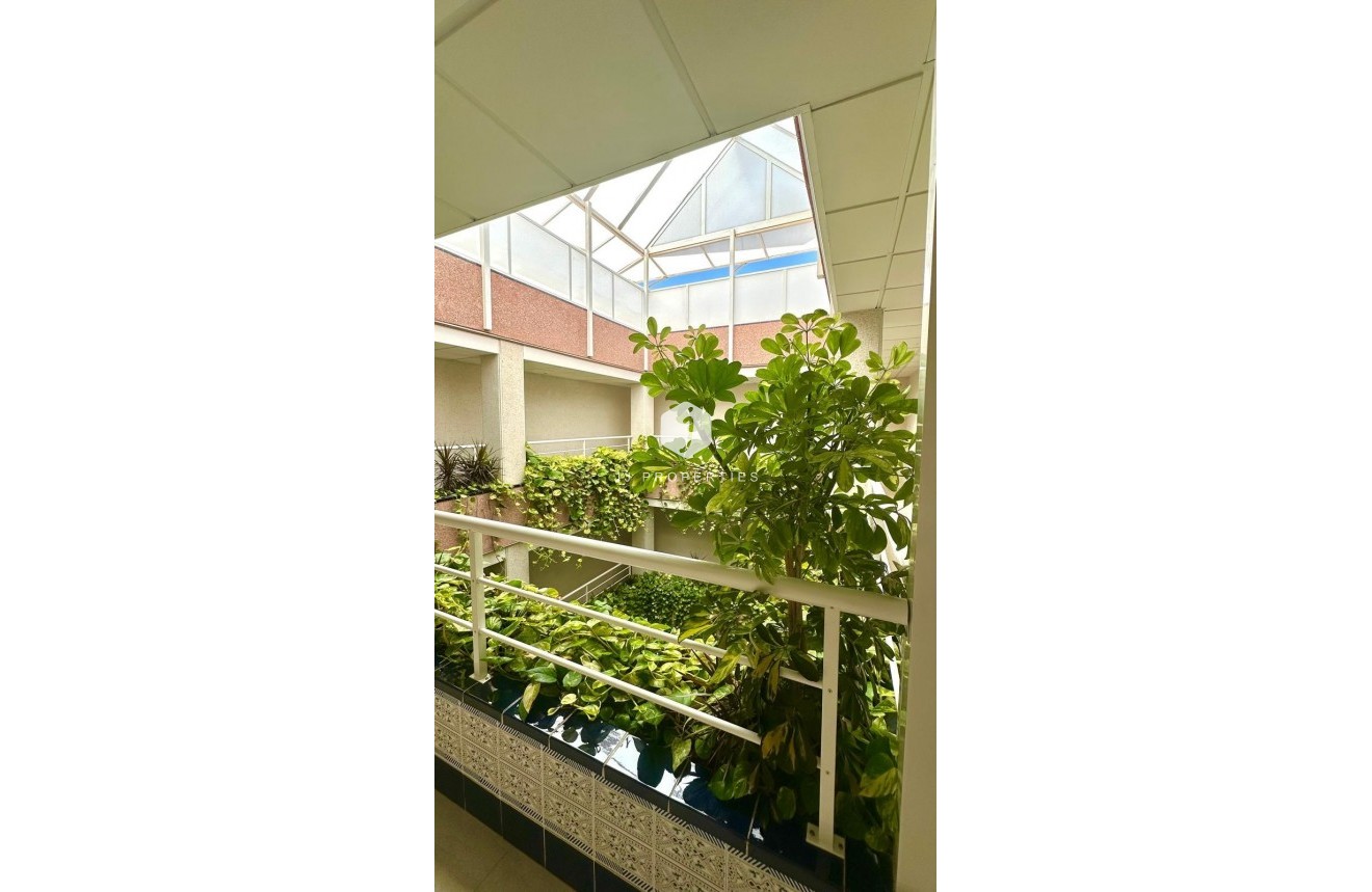 Aus zweiter Hand - Penthouse -
Torrevieja - Centro