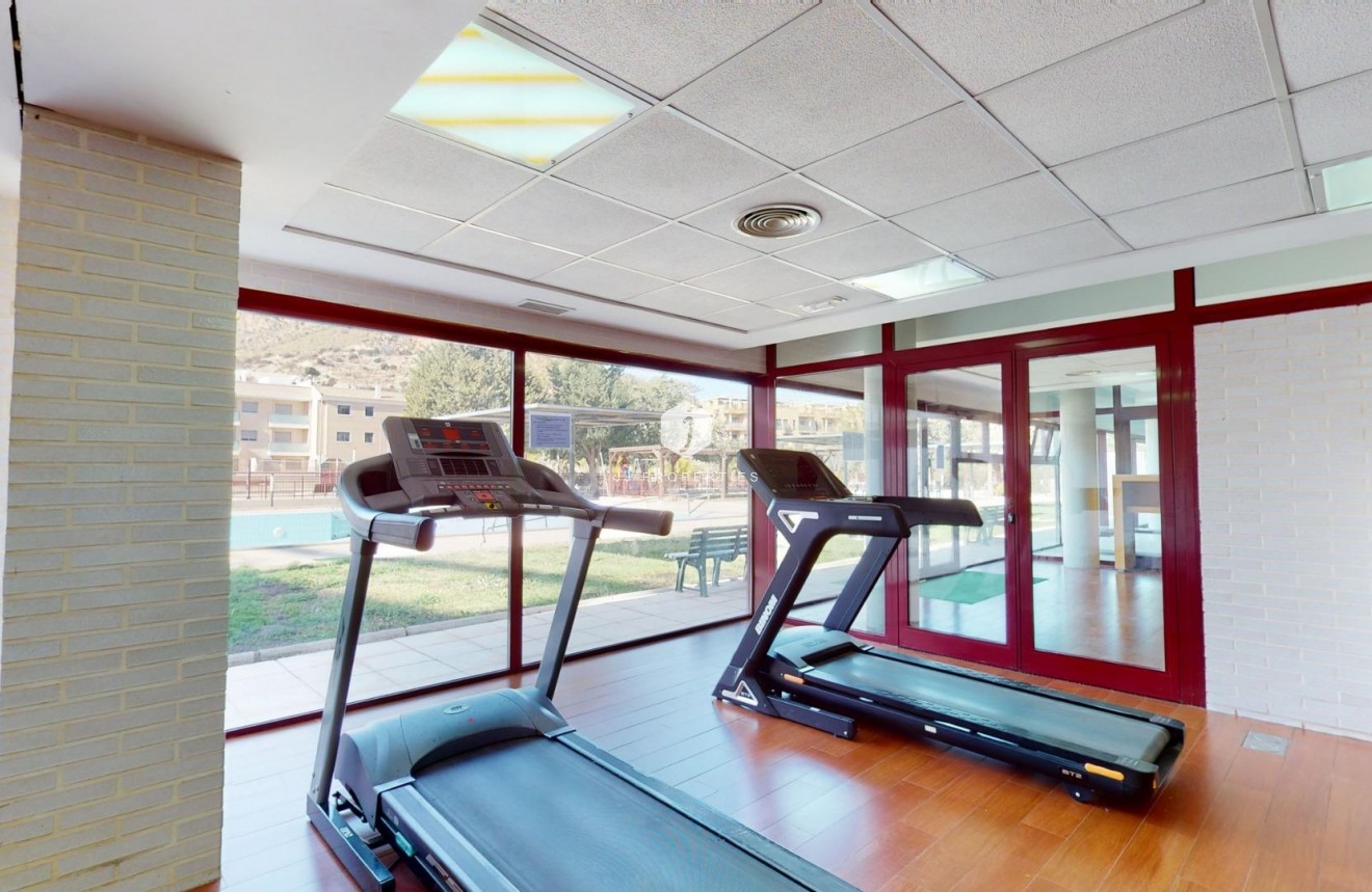 Neue Gebäude - Penthouse -
Archena - Villanueva del Rio Segura