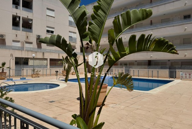 Tweedehands - Appartement / flat -
Almoradí - Inland