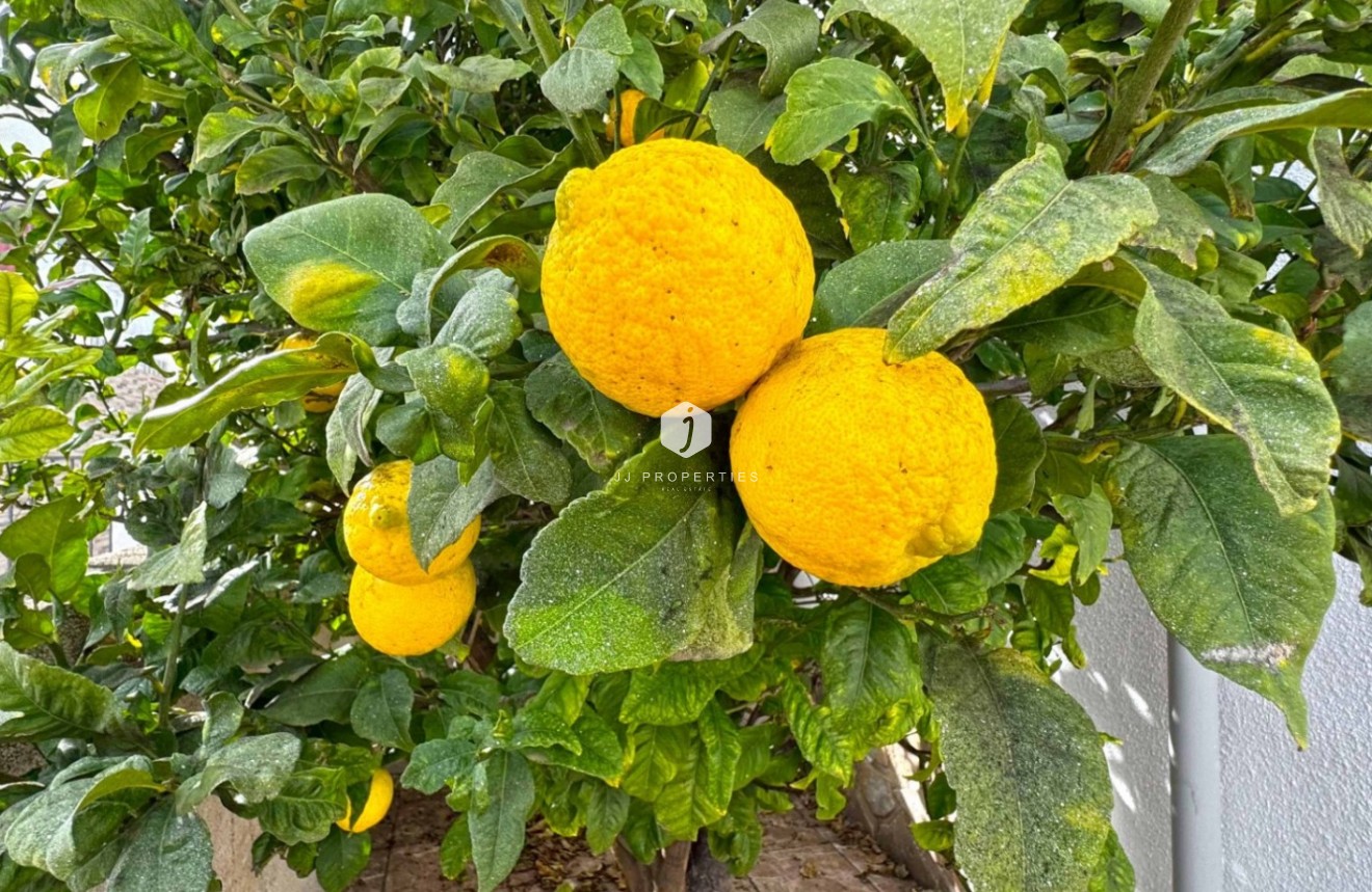 Tweedehands - Chalet -
San Miguel de Salinas - Inland