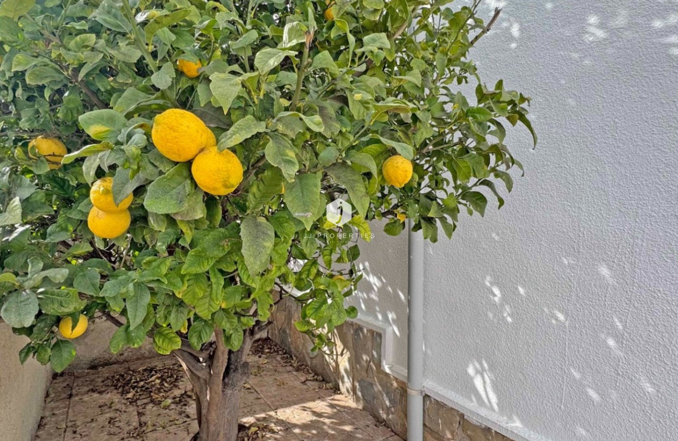 Tweedehands - Chalet -
San Miguel de Salinas - Inland