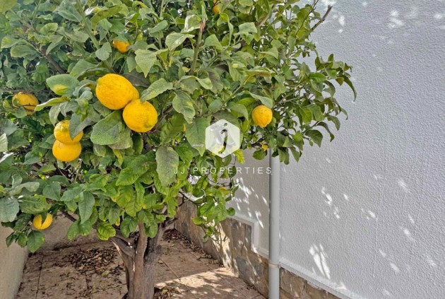 Tweedehands - Chalet -
San Miguel de Salinas - Inland