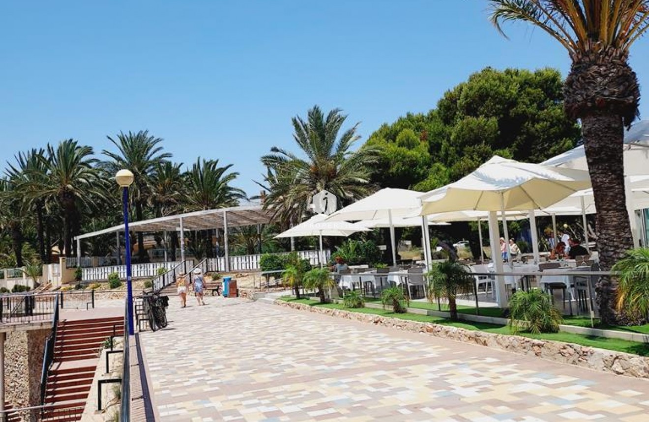 D'occasion - Appartement -
Torrevieja - Punta prima