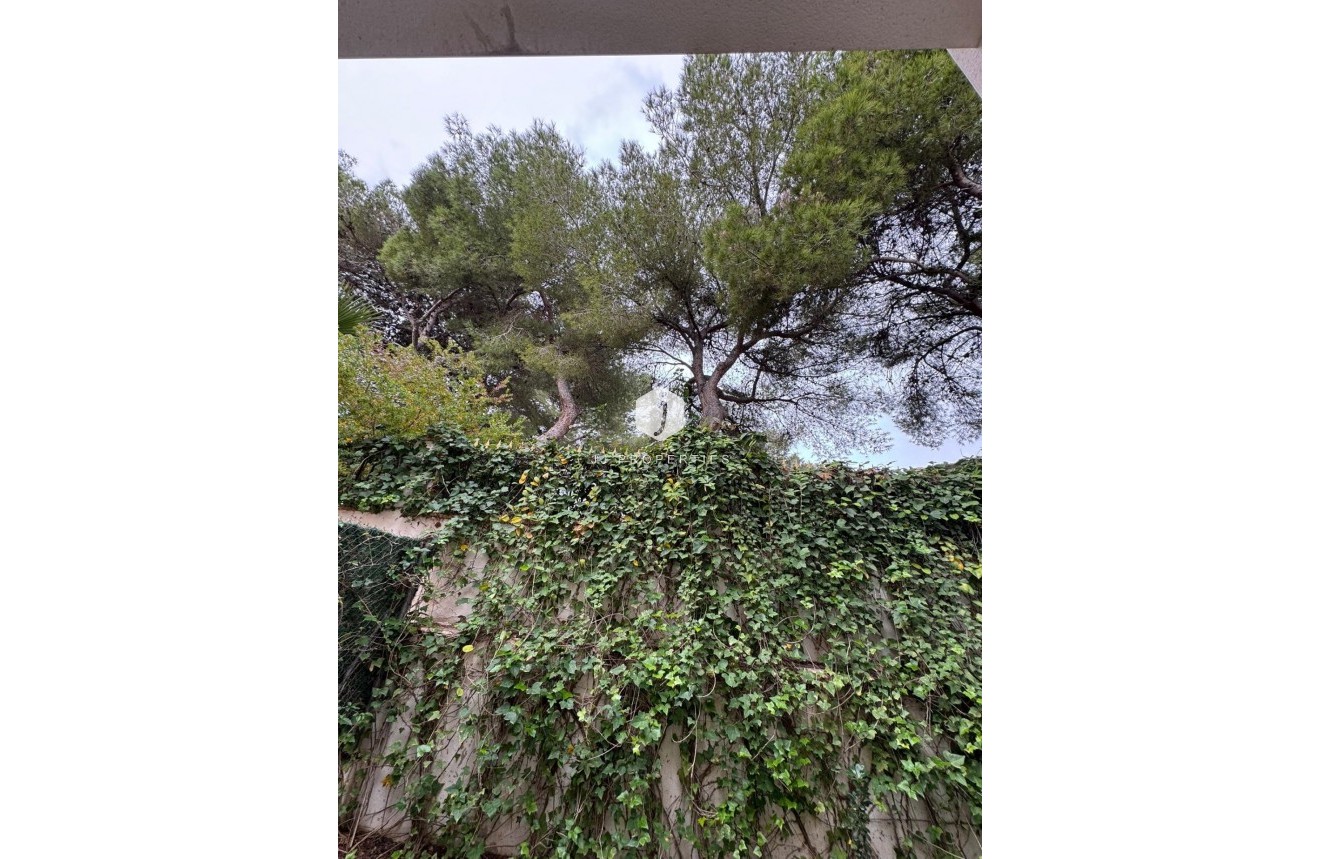 Aus zweiter Hand - Chalet -
Torrevieja - Punta prima