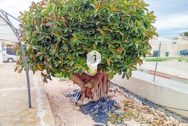 Aus zweiter Hand - Villa -
Torrevieja - La Siesta - El Salado - Torreta