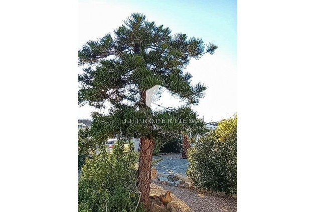 Resale - Villa -
Torrevieja - La siesta