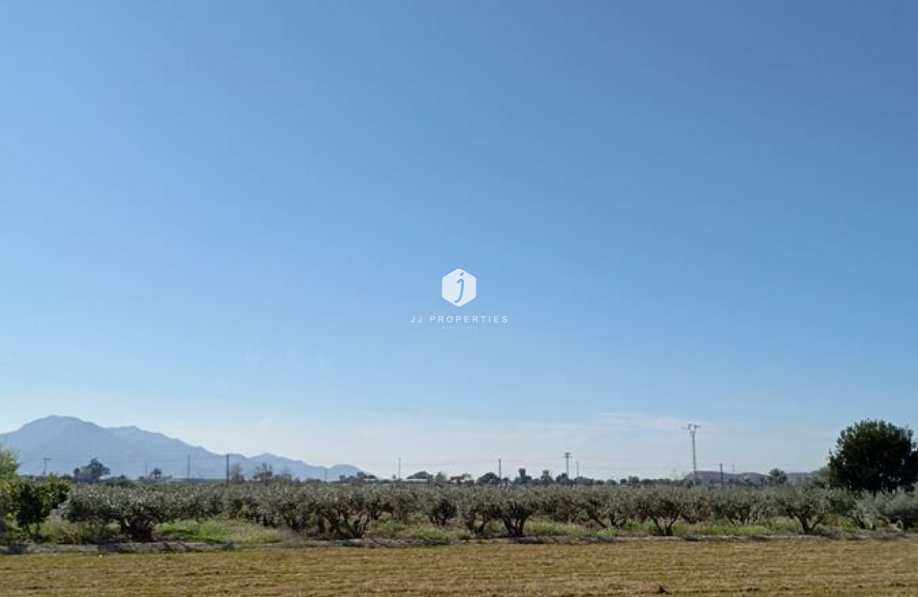 Resale - Chalet -
Catral - Costa Blanca