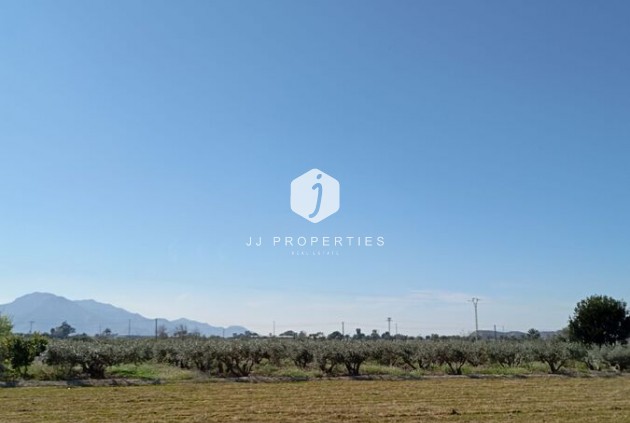 Resale - Chalet -
Catral - Costa Blanca