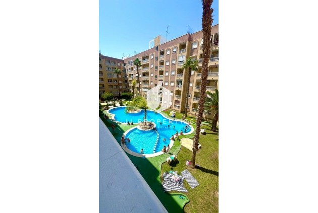 Aus zweiter Hand - Wohnung -
Torrevieja - Centro