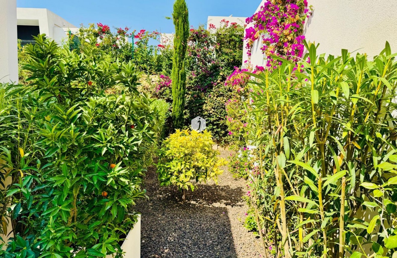 Resale - Villa -
Algorfa - Club De Golf La Finca