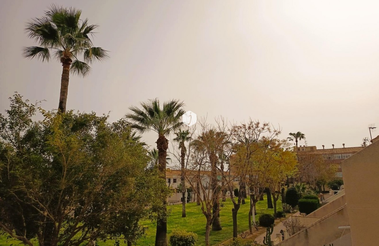 Segunda mano - Apartamento / piso -
Orihuela Costa - Costa Blanca