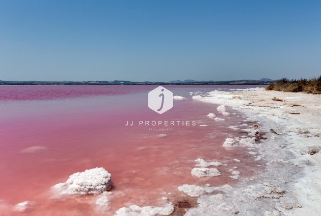 Resale - Apartment / flat -
Torrevieja - Centro - Muelle Pesquero