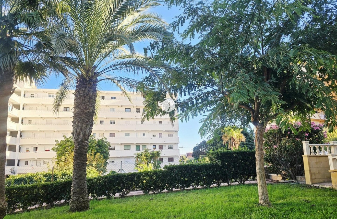 Resale - Apartment / flat -
Torrevieja - Torreblanca