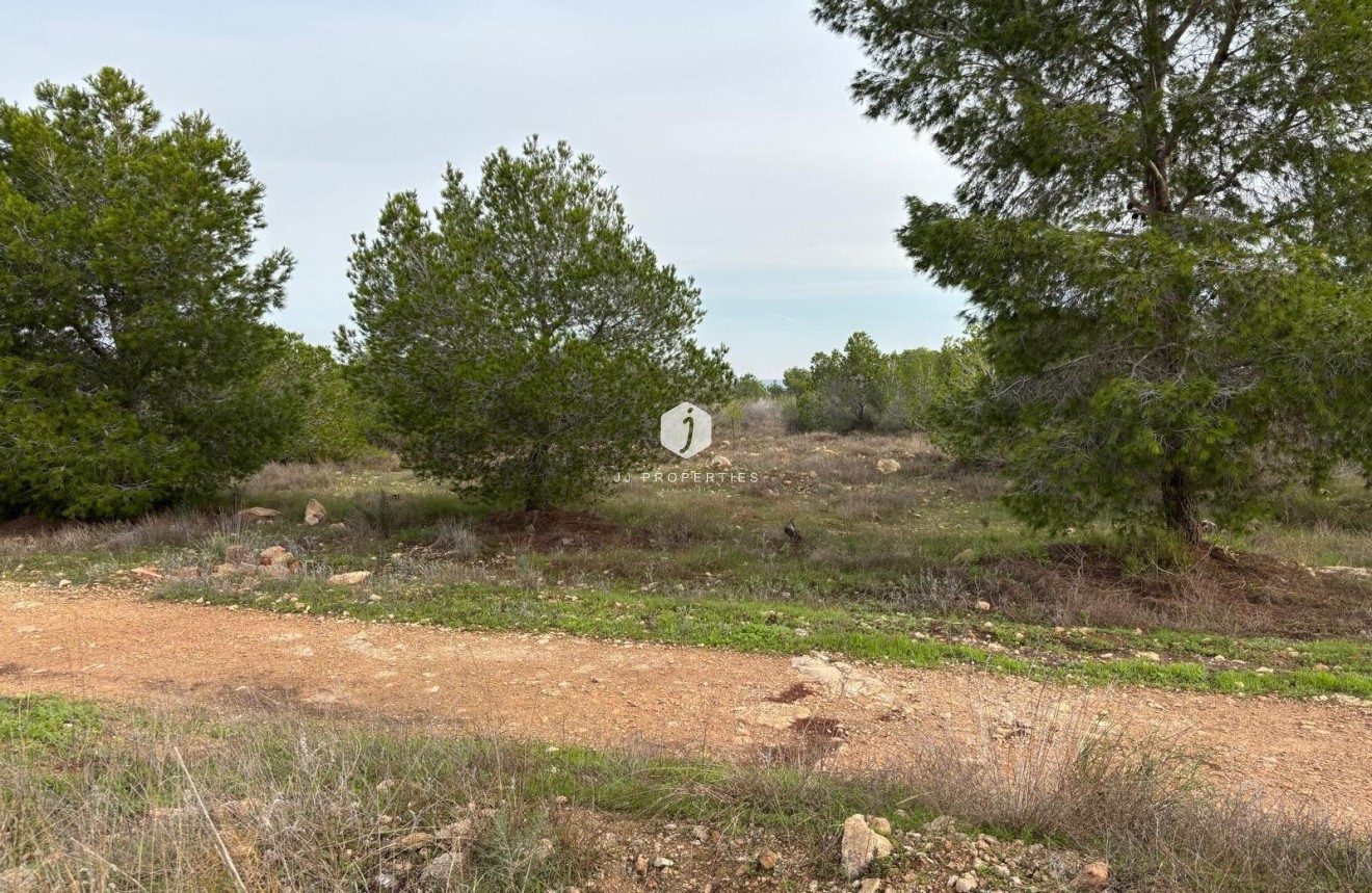 Resale - Bungalow -
Torrevieja - La Siesta - El Salado - Torreta