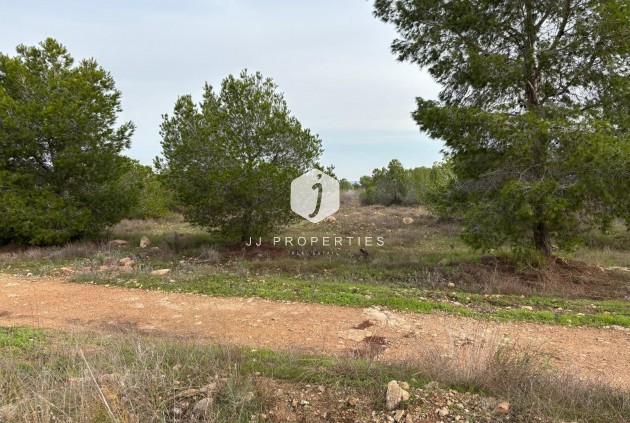 Resale - Bungalow -
Torrevieja - La Siesta - El Salado - Torreta