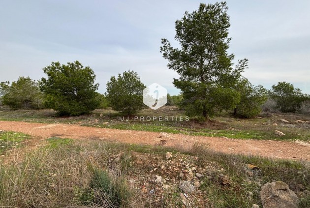 Resale - Bungalow -
Torrevieja - La Siesta - El Salado - Torreta