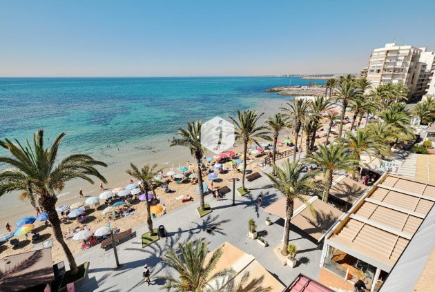 Resale - Apartment / flat -
Torrevieja - Playa del Cura