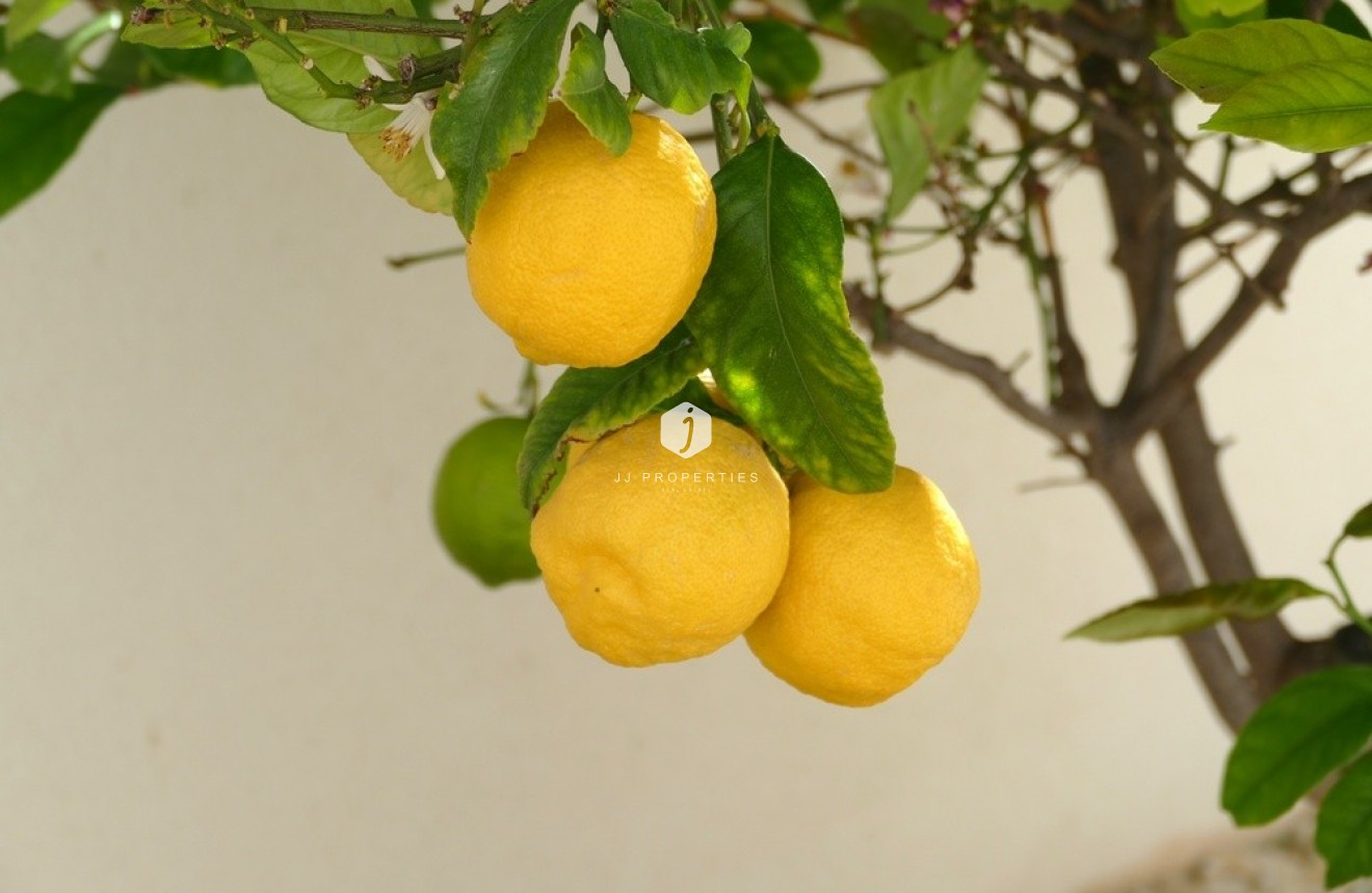 Aus zweiter Hand - Villa -
Benijofar - Costa Blanca