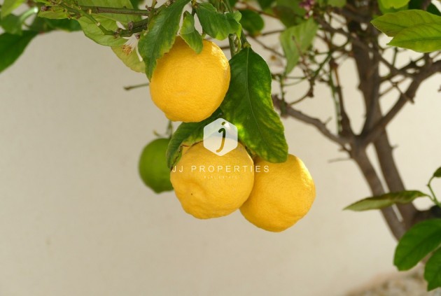 Aus zweiter Hand - Villa -
Benijofar - Costa Blanca