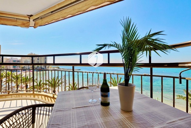 Z drugiej ręki - Mieszkanie w bloku -
Torrevieja - Estacion de autobuses