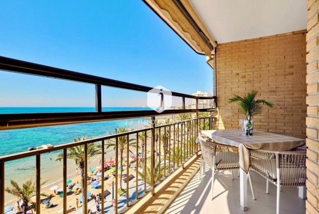 Z drugiej ręki - Mieszkanie w bloku -
Torrevieja - Estacion de autobuses