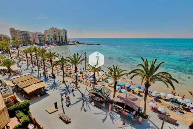 Z drugiej ręki - Mieszkanie w bloku -
Torrevieja - Estacion de autobuses