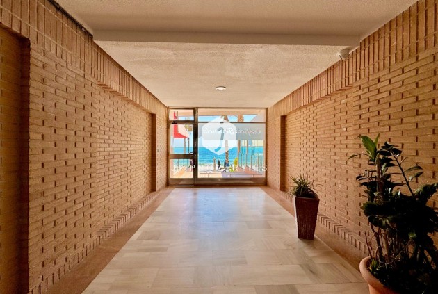 Z drugiej ręki - Mieszkanie w bloku -
Torrevieja - Estacion de autobuses