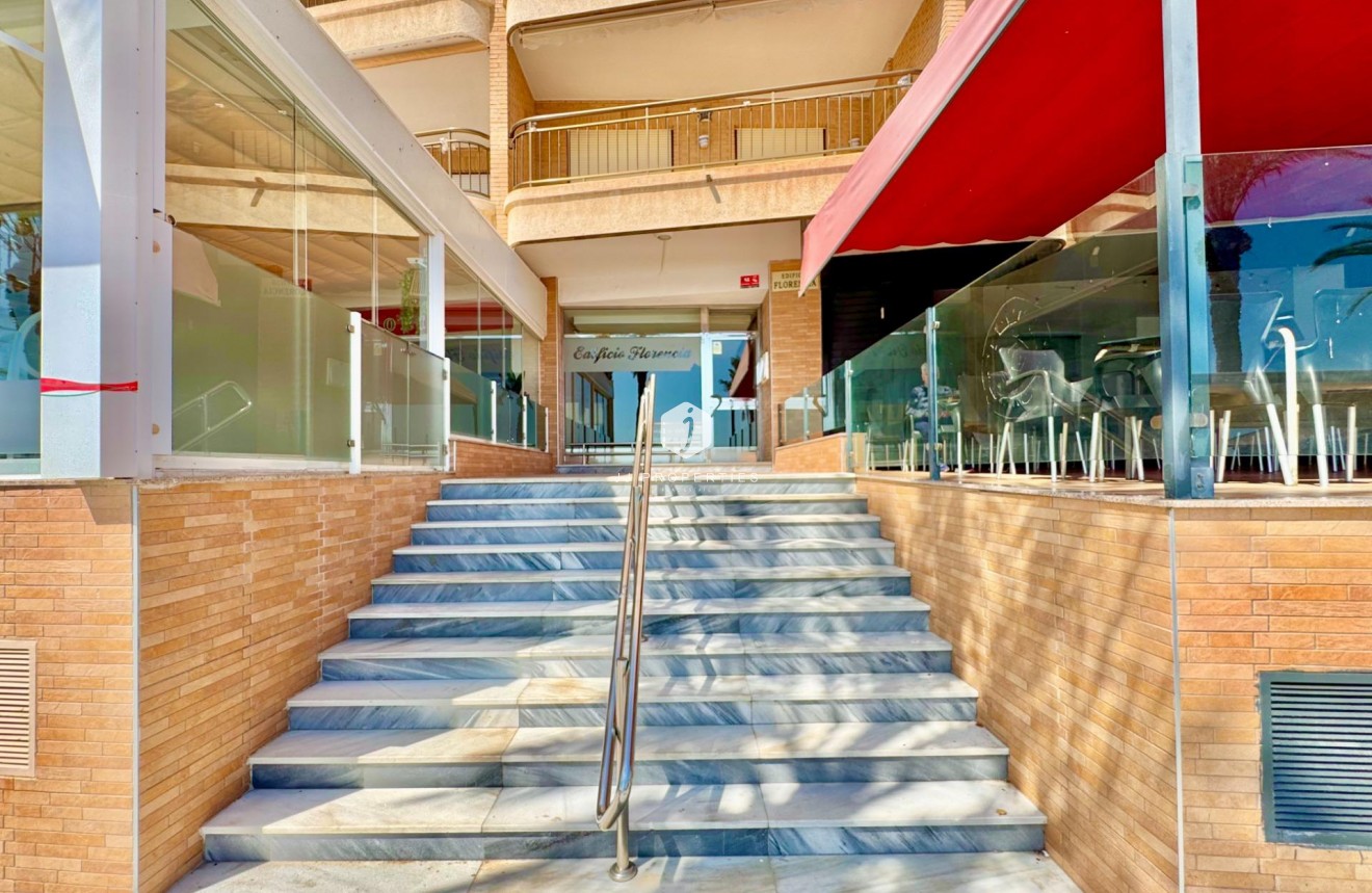 Z drugiej ręki - Mieszkanie w bloku -
Torrevieja - Estacion de autobuses