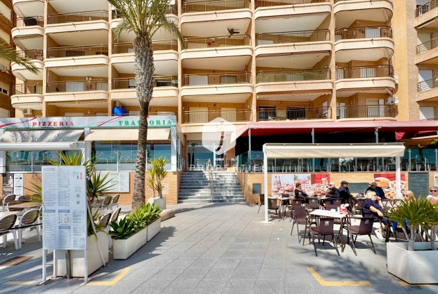 Z drugiej ręki - Mieszkanie w bloku -
Torrevieja - Estacion de autobuses