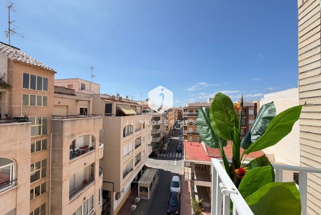 Z drugiej ręki - Daszek -
Torrevieja - Estacion de autobuses