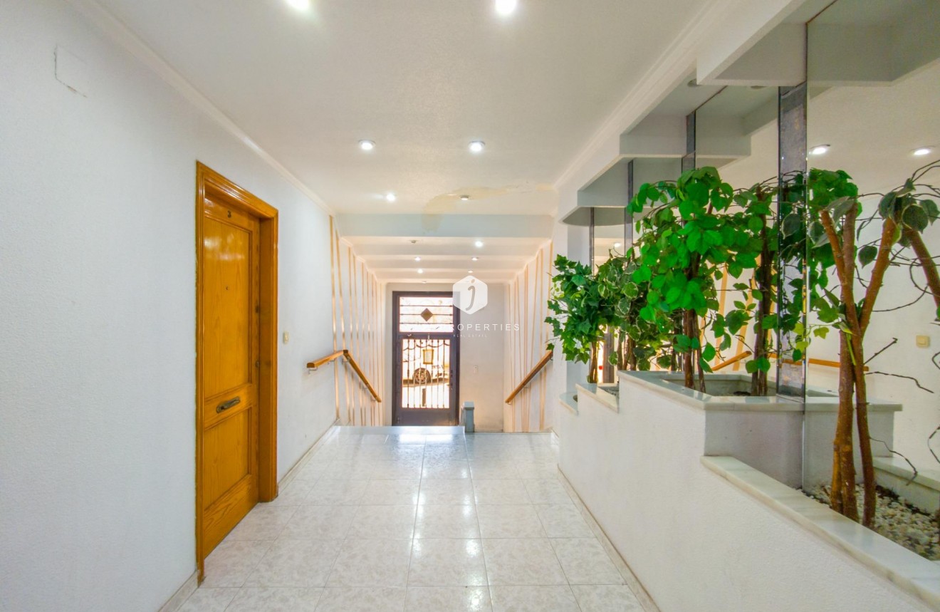 Z drugiej ręki - Mieszkanie w bloku -
Torrevieja - Estacion de autobuses