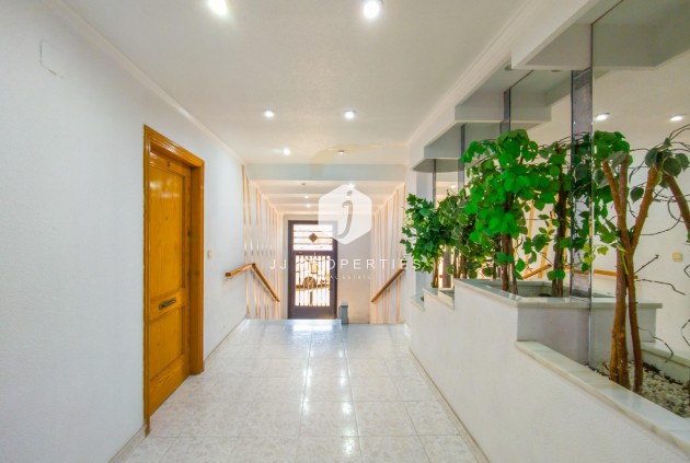 Z drugiej ręki - Mieszkanie w bloku -
Torrevieja - Estacion de autobuses