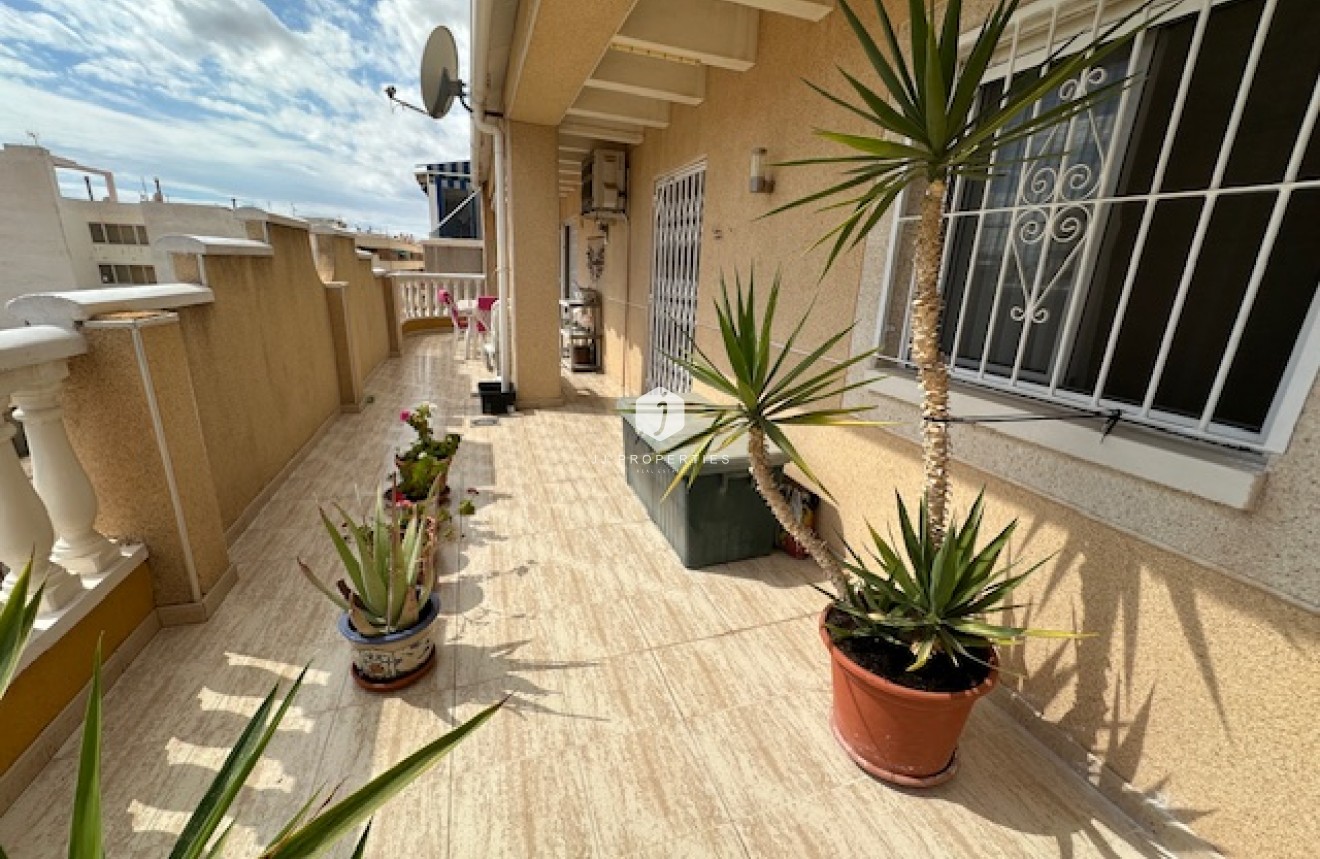 D'occasion - Appartement -
Torrevieja - Costa Blanca