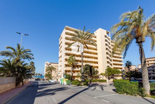 Tweedehands - Appartement / flat -
Torrevieja - Cabo cervera