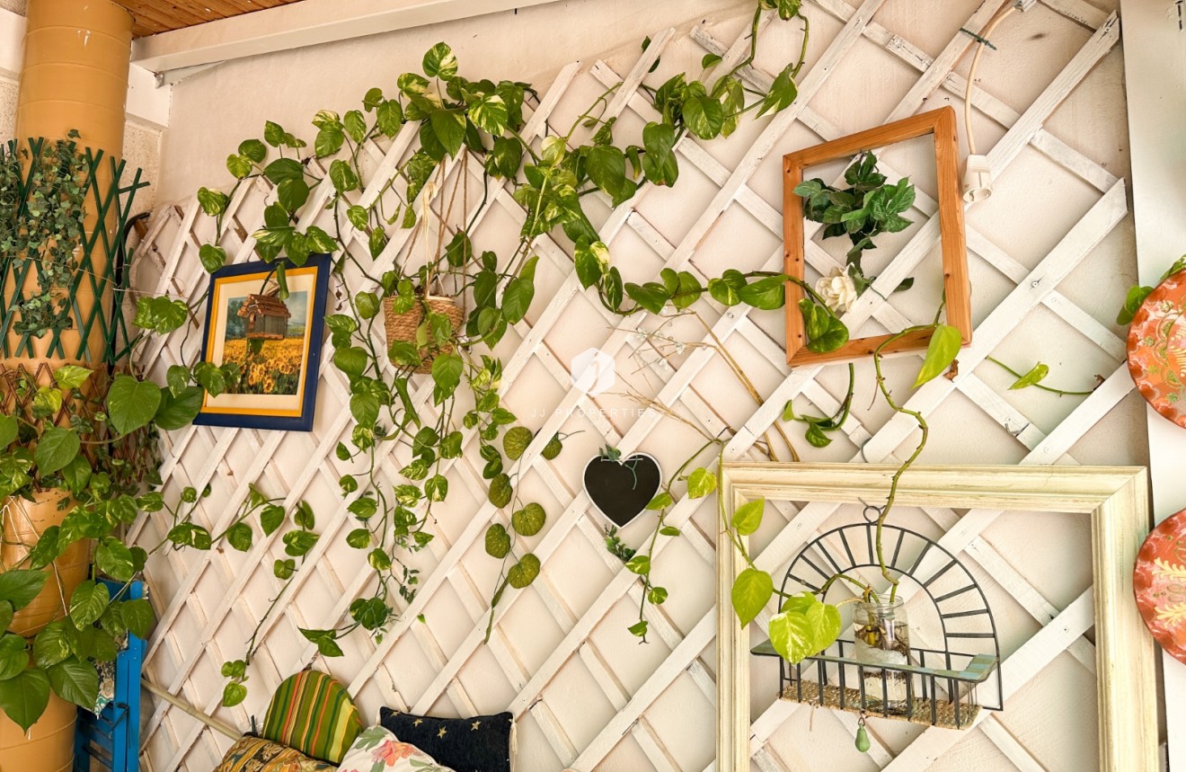 Z drugiej ręki - Mieszkanie w bloku -
Torrevieja - Costa Blanca