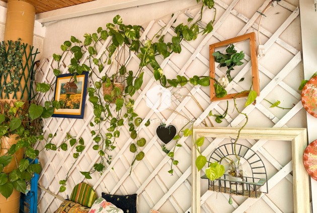 Z drugiej ręki - Mieszkanie w bloku -
Torrevieja - Costa Blanca