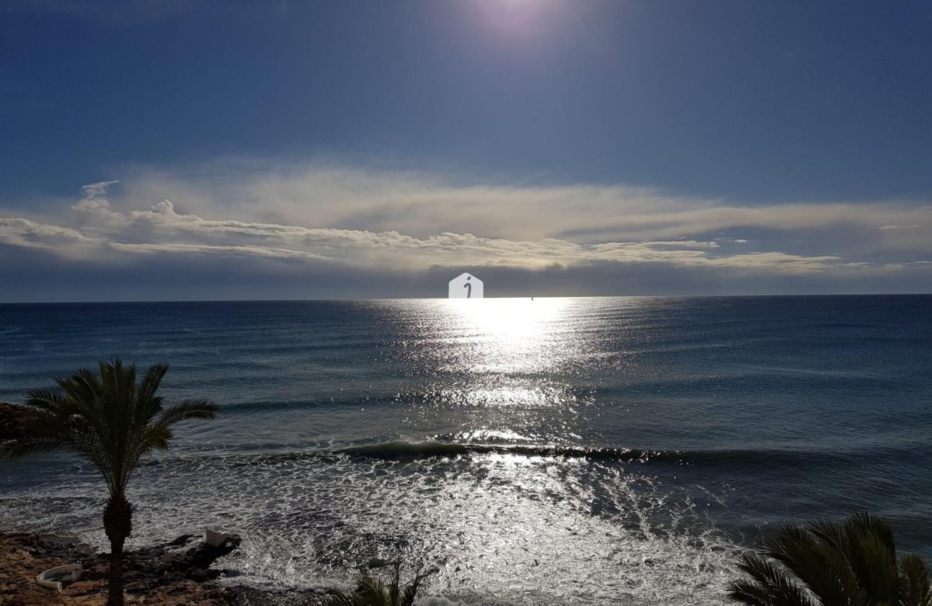 Z drugiej ręki - Mieszkanie w bloku -
Torrevieja - Las Piscinas Naturales